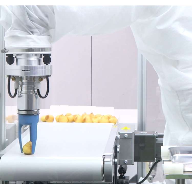 6-Axis CNC Robotic Arm with Li - Linear Guide Rail review and price
